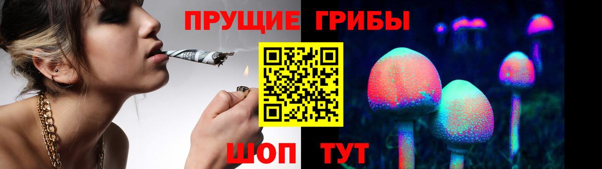 Галлюциногенные грибы Psilocybe Моздок
